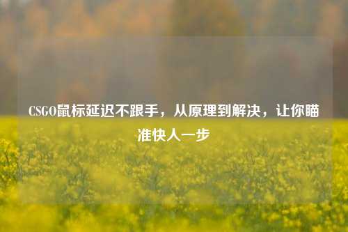 CSGO鼠标延迟不跟手,从原理到解决,让你瞄准快人一步