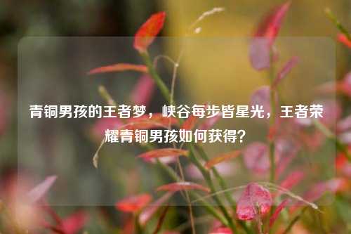 青铜男孩的王者梦,峡谷每步皆星光,王者荣耀青铜男孩如何获得?