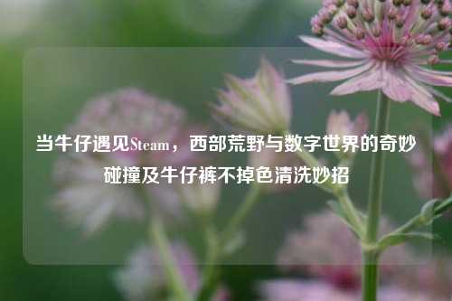 当牛仔遇见Steam，西部荒野与数字世界的奇妙碰撞及牛仔裤不掉色清洗妙招