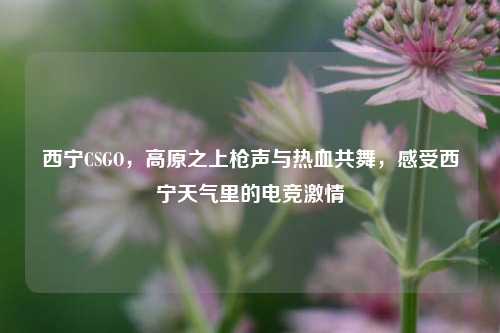 西宁CSGO，高原之上枪声与热血共舞，感受西宁天气里的电竞激情