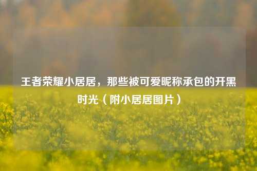 王者荣耀小居居，那些被可爱昵称承包的开黑时光（附小居居图片）