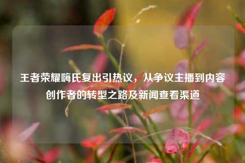 王者荣耀嗨氏复出引热议,从争议主播到内容创作者的转型之路及新闻查看渠道