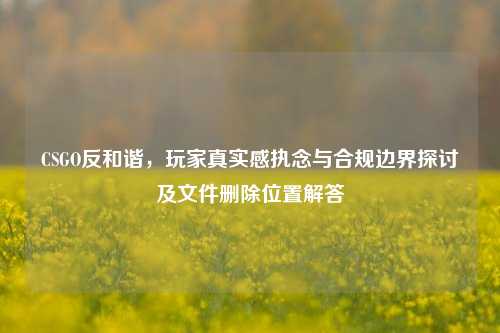 CSGO反和谐，玩家真实感执念与合规边界探讨及文件删除位置解答