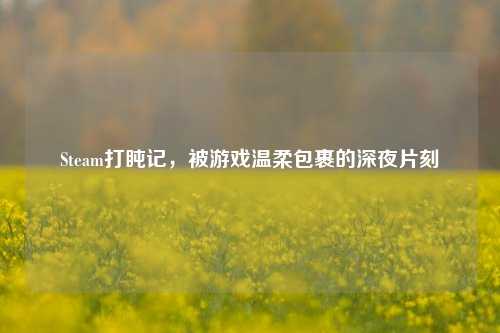 Steam打盹记，被游戏温柔包裹的深夜片刻