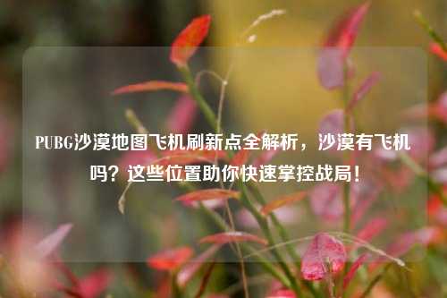 PUBG沙漠地图飞机刷新点全解析,沙漠有飞机吗?这些位置助你快速掌控战局!