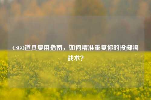 CSGO道具复用指南，如何精准重复你的投掷物战术？
