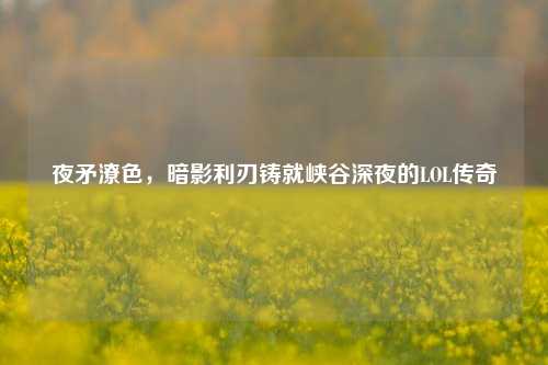 夜矛潦色,暗影利刃铸就峡谷深夜的LOL传奇