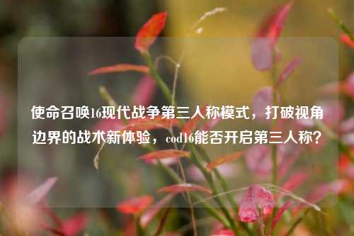 使命召唤16现代战争第三人称模式,打破视角边界的战术新体验,cod16能否开启第三人称?