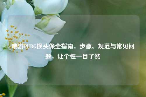 端游PUBG换头像全指南,步骤、规范与常见问题,让个性一目了然