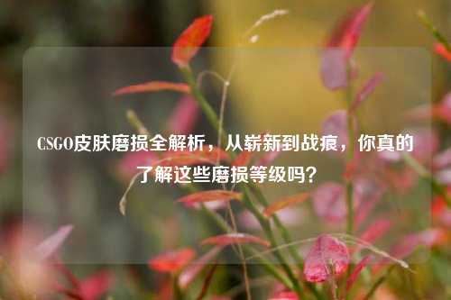 CSGO皮肤磨损全解析，从崭新到战痕，你真的了解这些磨损等级吗？