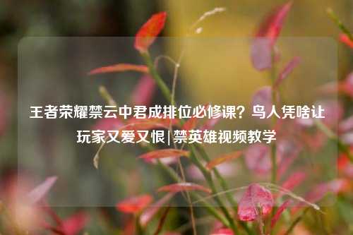 王者荣耀禁云中君成排位必修课？鸟人凭啥让玩家又爱又恨|禁英雄视频教学