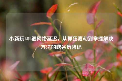 小新玩LOL遇网络延迟，从抓狂渡劫到掌握解决方法的峡谷历险记