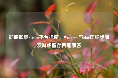 彻底卸载Steam平台指南，Windows与Mac详细步骤及游戏留存问题解答