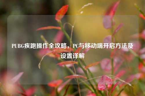 PUBG疾跑操作全攻略，PC与移动端开启方法及设置详解