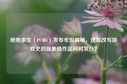 绝地求生(PUBG)发布年份揭秘,这款改写游戏史的现象级作品何时发行?