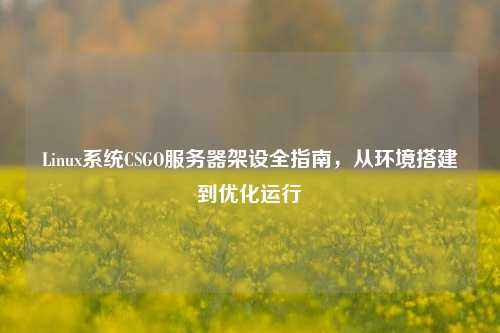 Linux系统CSGO服务器架设全指南，从环境搭建到优化运行