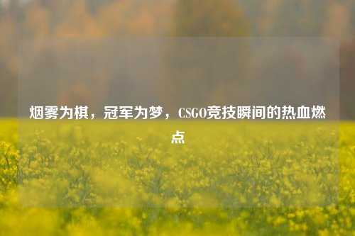 烟雾为棋，冠军为梦，CSGO竞技瞬间的热血燃点