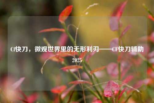 Cf快刀,微观世界里的无形利刃——CF快刀辅助2025