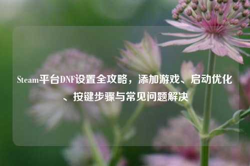 Steam平台DNF设置全攻略，添加游戏、启动优化、按键步骤与常见问题解决