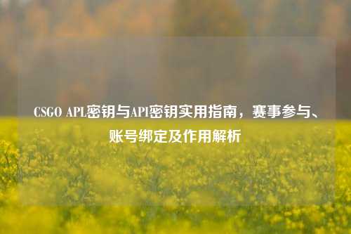 CSGO APL密钥与API密钥实用指南，赛事参与、账号绑定及作用解析