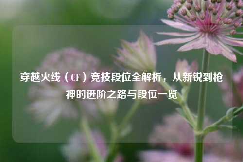 穿越火线（CF）竞技段位全解析，从新锐到枪神的进阶之路与段位一览