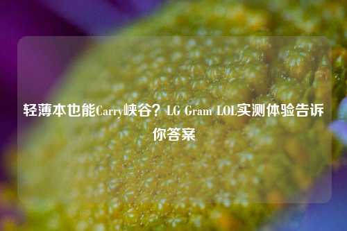 轻薄本也能Carry峡谷？LG Gram LOL实测体验告诉你答案