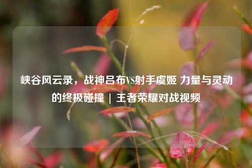 峡谷风云录,战神吕布VS射手虞姬 力量与灵动的终极碰撞 | 王者荣耀对战视频