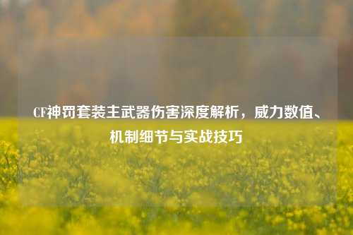 CF神罚套装主武器伤害深度解析，威力数值、机制细节与实战技巧