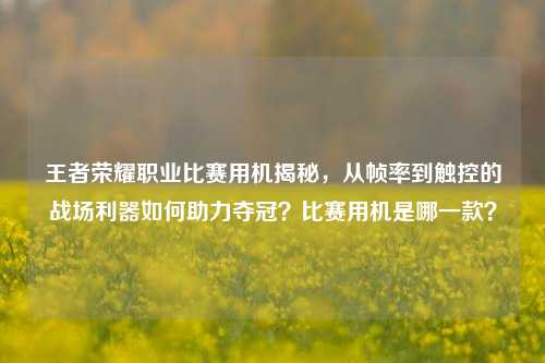 王者荣耀职业比赛用机揭秘，从帧率到触控的战场利器如何助力夺冠？比赛用机是哪一款？