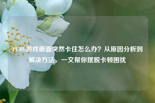 PUBG游戏画面突然卡住怎么办？从原因分析到解决方法，一文帮你摆脱卡顿困扰