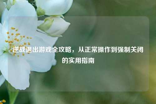 逆战退出游戏全攻略,从正常操作到强制关闭的实用指南
