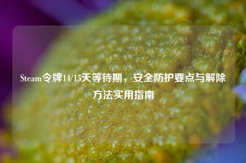 Steam令牌14/15天等待期,安全防护要点与解除方法实用指南