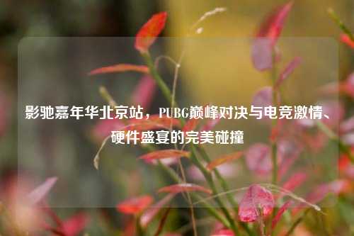 影驰嘉年华北京站,PUBG巅峰对决与电竞激情、硬件盛宴的完美碰撞