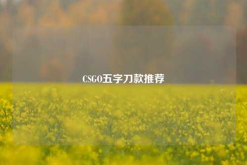 CSGO五字刀款推荐