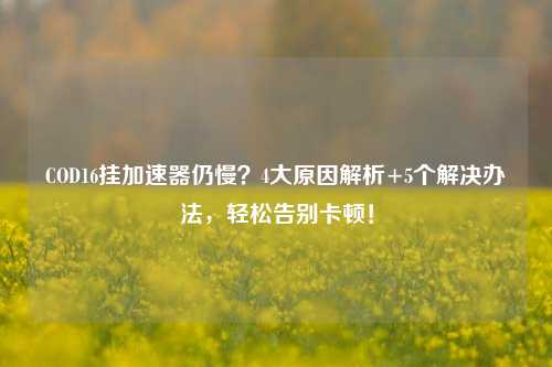 COD16挂加速器仍慢？4大原因解析+5个解决办法，轻松告别卡顿！