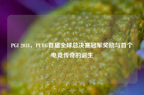 PGI 2018，PUBG首届全球总决赛冠军奖励与首个电竞传奇的诞生