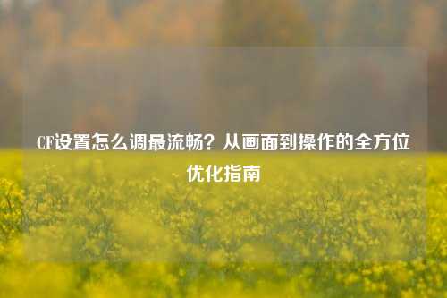 CF设置怎么调最流畅？从画面到操作的全方位优化指南