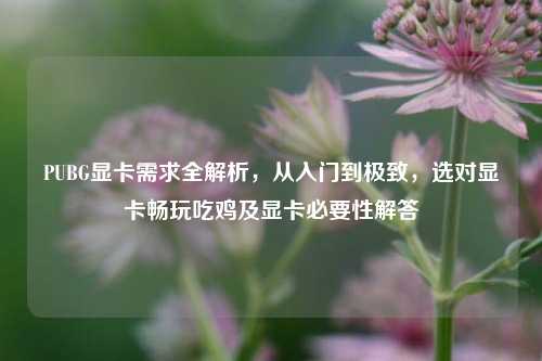 PUBG显卡需求全解析，从入门到极致，选对显卡畅玩吃鸡及显卡必要性解答