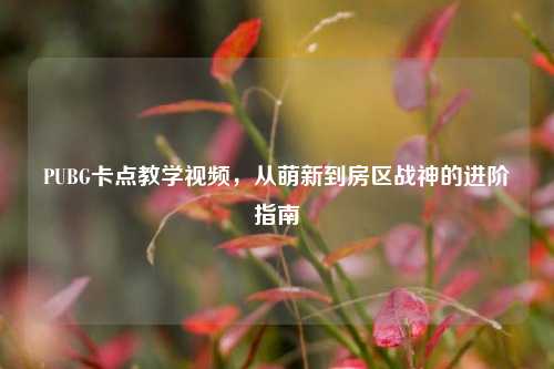 PUBG卡点教学视频,从萌新到房区战神的进阶指南