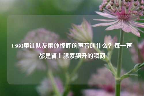 CSGO里让队友集体惊呼的声音叫什么？每一声都是肾上腺素飙升的瞬间