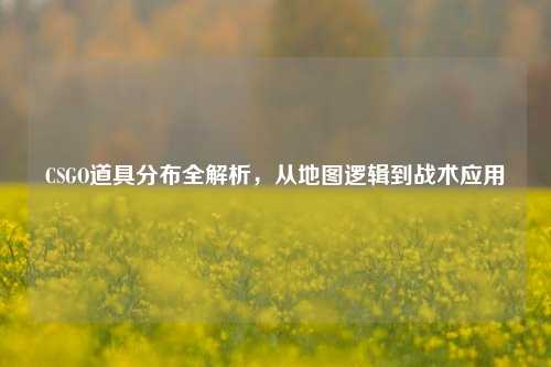 CSGO道具分布全解析，从地图逻辑到战术应用