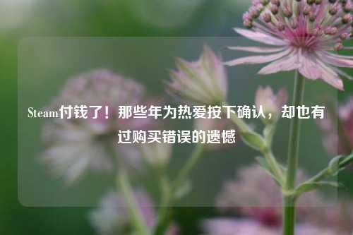 Steam付钱了！那些年为热爱按下确认，却也有过购买错误的遗憾