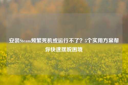 安装Steam频繁死机或运行不了?5个实用方案帮你快速摆脱困境