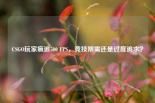 CSGO玩家疯追500 FPS，竞技刚需还是过度追求？