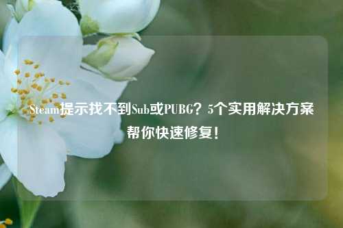 Steam提示找不到Sub或PUBG？5个实用解决方案帮你快速修复！