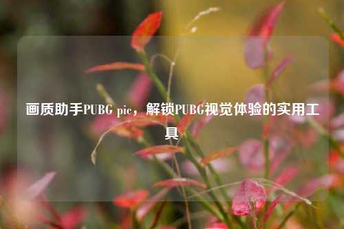 画质助手PUBG pic，解锁PUBG视觉体验的实用工具