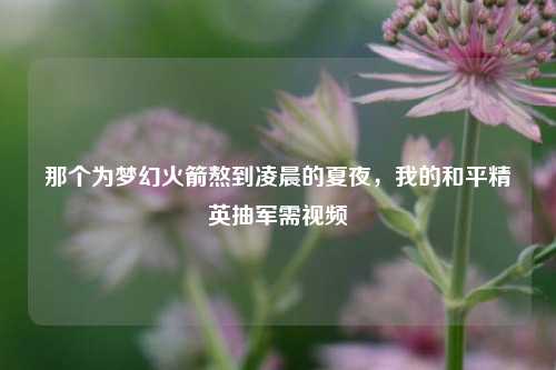 那个为梦幻火箭熬到凌晨的夏夜，我的和平精英抽军需视频