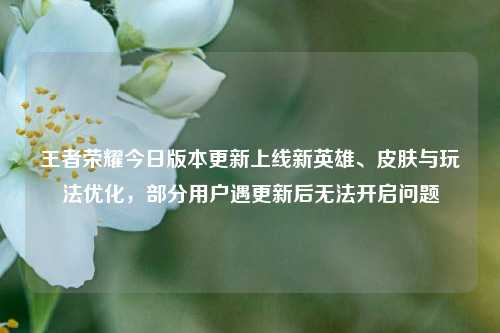 王者荣耀今日版本更新上线新英雄、皮肤与玩法优化，部分用户遇更新后无法开启问题