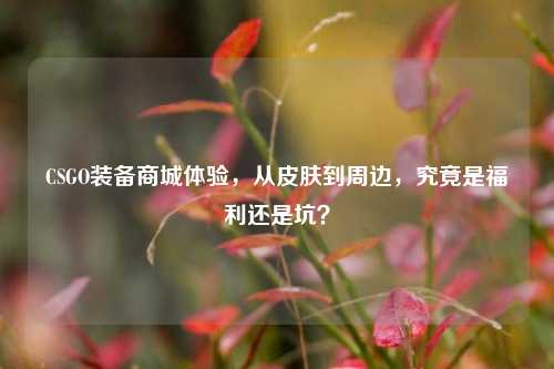 CSGO装备商城体验，从皮肤到周边，究竟是福利还是坑？