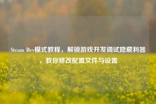 Steam Dev模式教程,解锁游戏开发调试隐藏利器,教你修改配置文件与设置